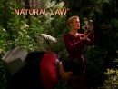 Natural_Law_032.JPG