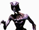 species8472-05.jpg