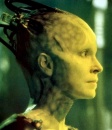borgqueen.jpg