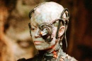 seven_borg.jpg