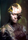 seven_borg3.png