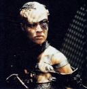 seven_borg6.jpg