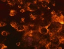 210-cold-fire-357.jpg