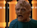 215-threshold-452.jpg