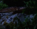 215-threshold-612.jpg