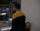 216-meld-329.jpg