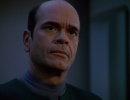 216-meld-533.jpg