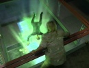 220-investigations-685.jpg