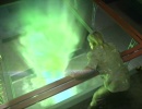 220-investigations-686.jpg