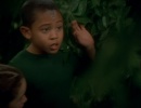 222-innocence-317.jpg